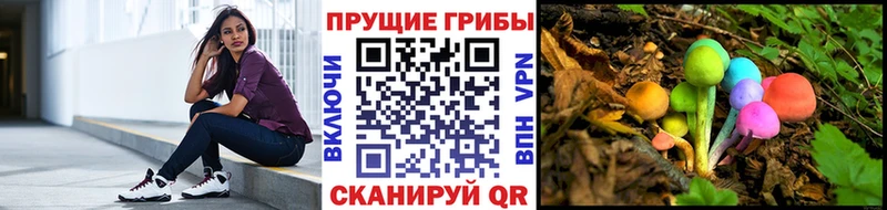 купить   Невинномысск  Псилоцибиновые грибы мухоморы 